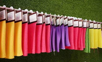 智造 新織城 第十八屆中國(guó) 大朗 國(guó)際毛織產(chǎn)品交易會(huì)圓滿成功