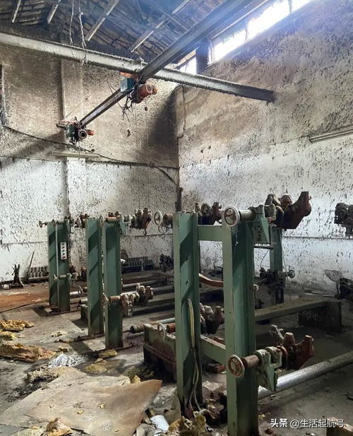 中國紡織業(yè)的明珠隕落 丹陽棉紡廠的興衰與轉(zhuǎn)型啟示